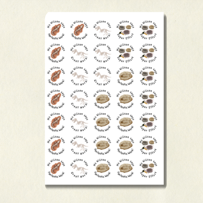 Personalised Fossil-Themed History Reward Stickers | 6 Colours & 10 Scents | Smelly Stickers